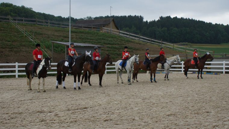 Reitbrevet & Reitdiplom
