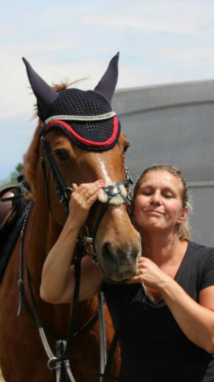 Foto aus dem Reitstall Schrackmann