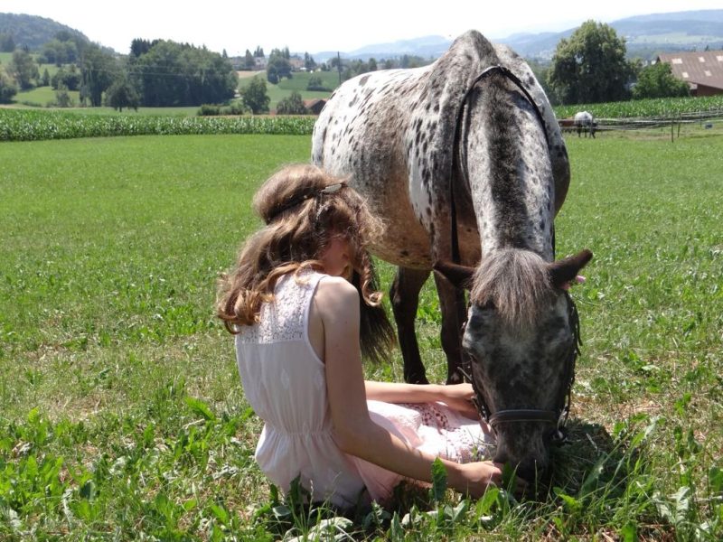 Foto aus dem Reitstall Schrackmann