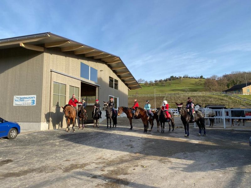 Foto aus dem Reitstall Schrackmann