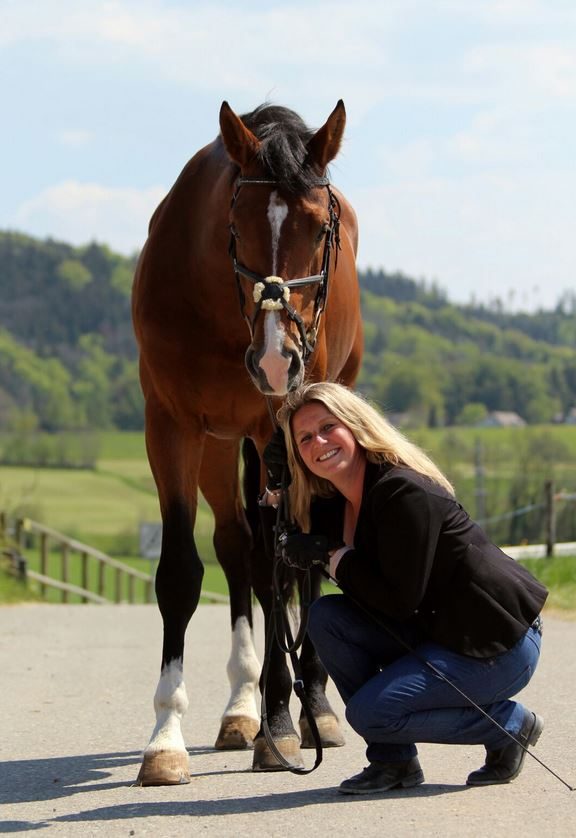 Foto aus dem Reitstall Schrackmann