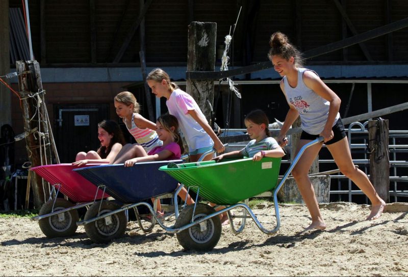 Foto aus dem Reitstall Schrackmann