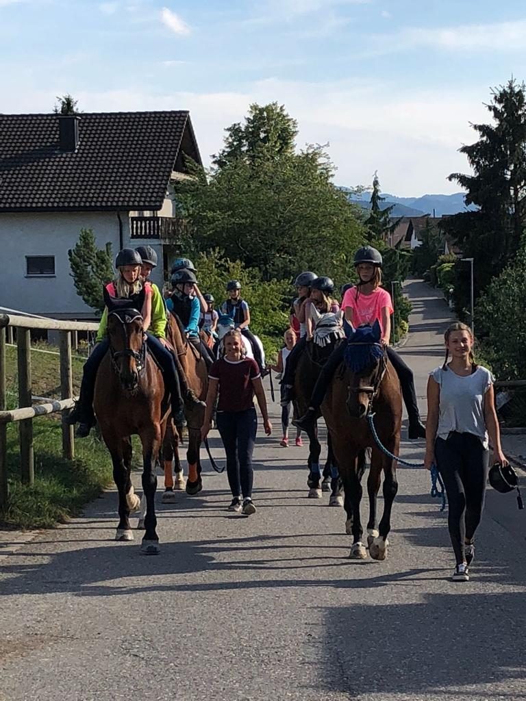 Foto aus dem Reitstall Schrackmann