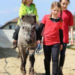 Foto aus dem Reitstall Schrackmann