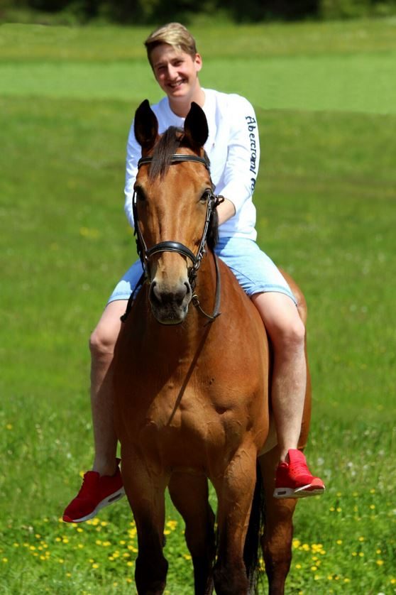 Foto aus dem Reitstall Schrackmann