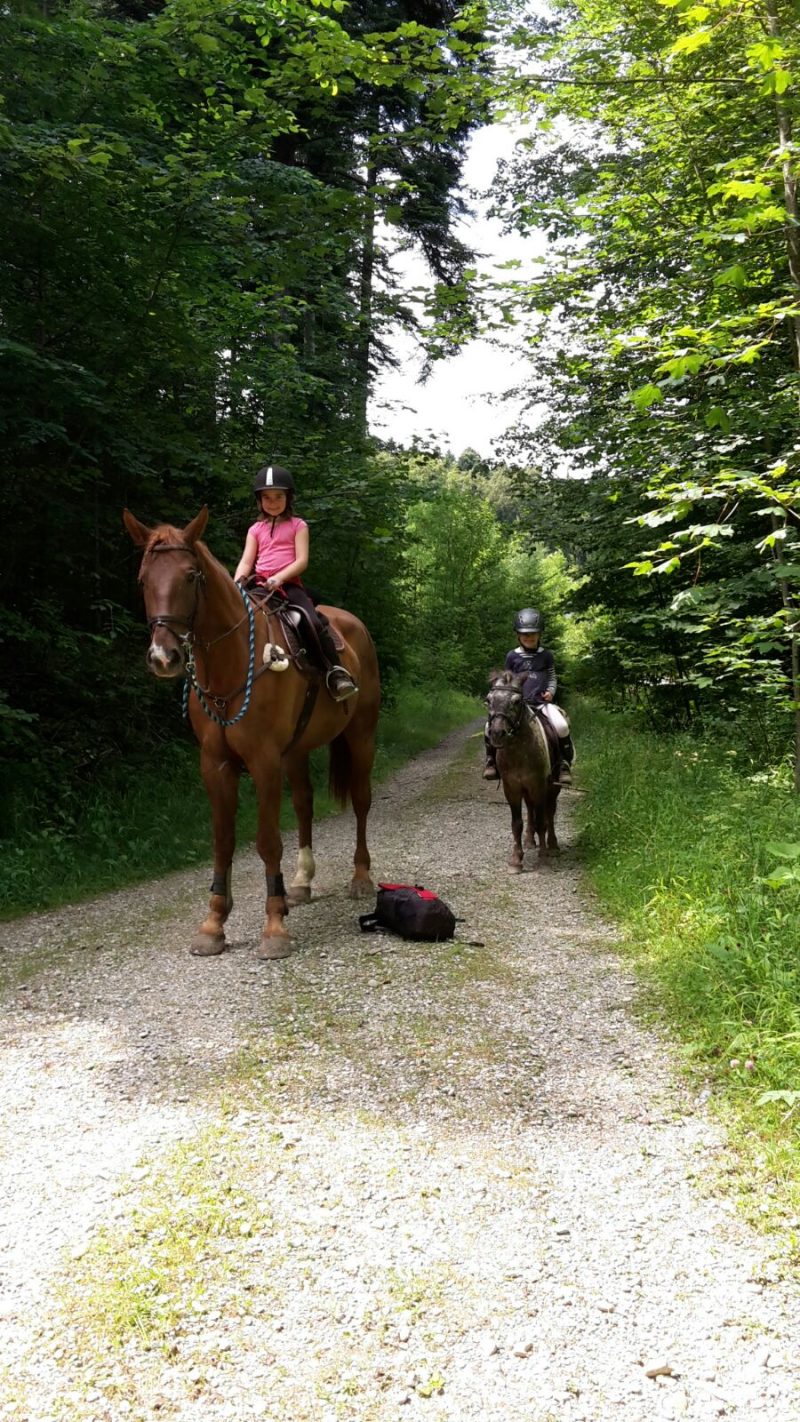Foto aus dem Reitstall Schrackmann