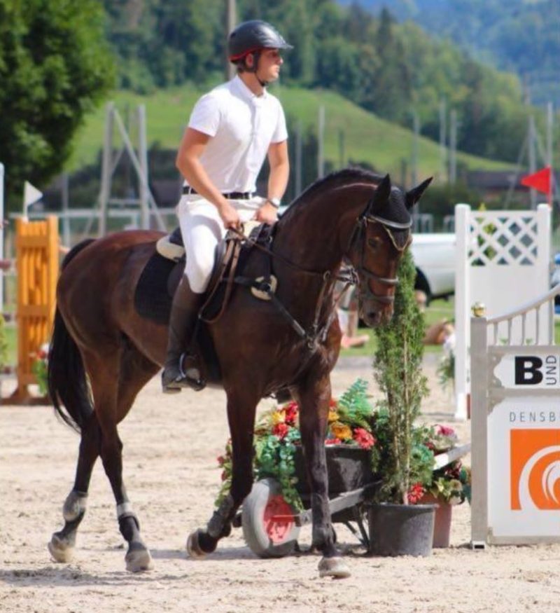 Foto aus dem Reitstall Schrackmann