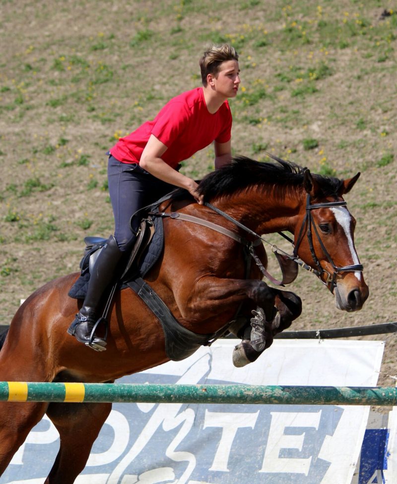 Foto aus dem Reitstall Schrackmann