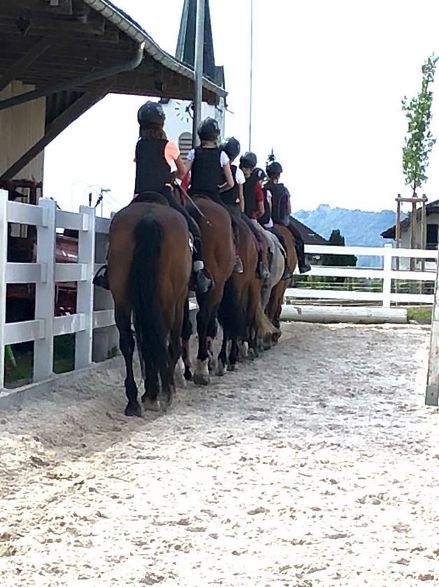 Foto aus dem Reitstall Schrackmann