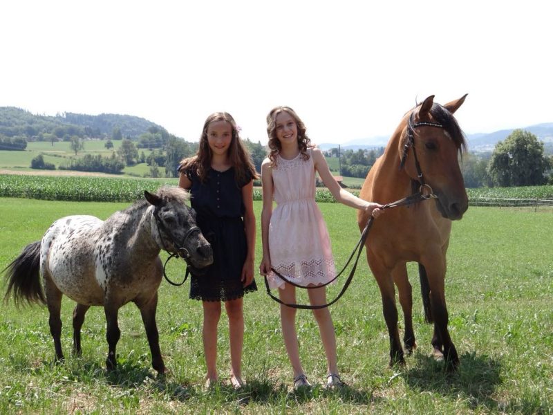 Foto aus dem Reitstall Schrackmann