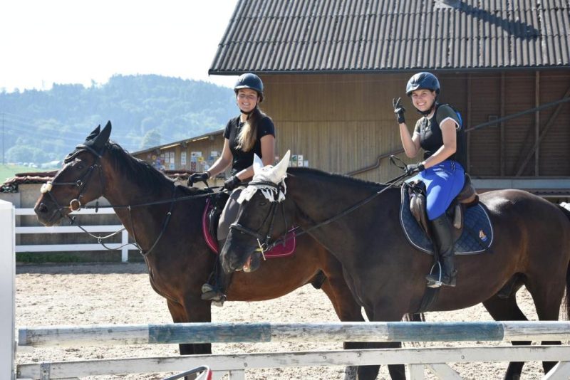 Foto aus dem Reitstall Schrackmann
