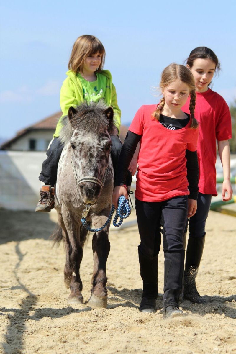 Foto aus dem Reitstall Schrackmann