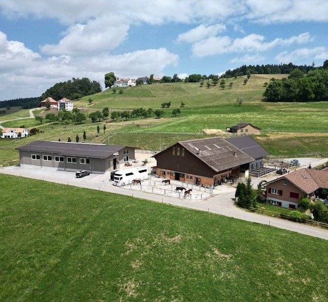 Foto aus dem Reitstall Schrackmann