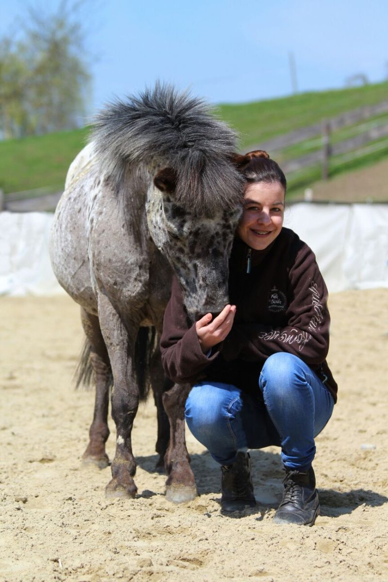 Foto aus dem Reitstall Schrackmann