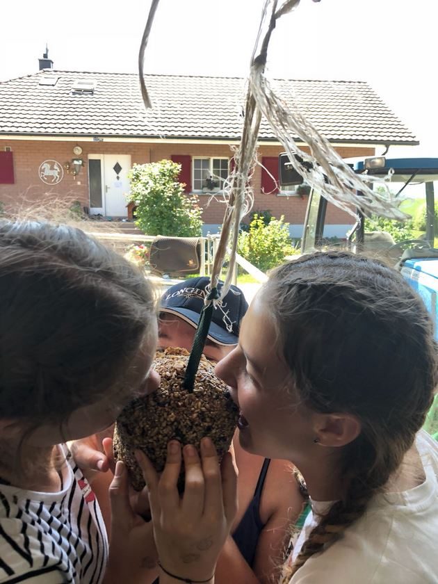 Foto aus dem Reitstall Schrackmann