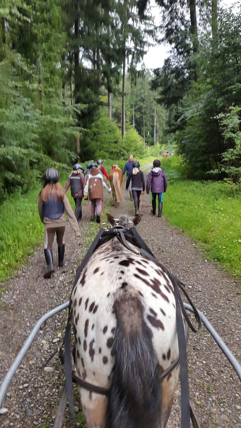 Foto aus dem Reitstall Schrackmann