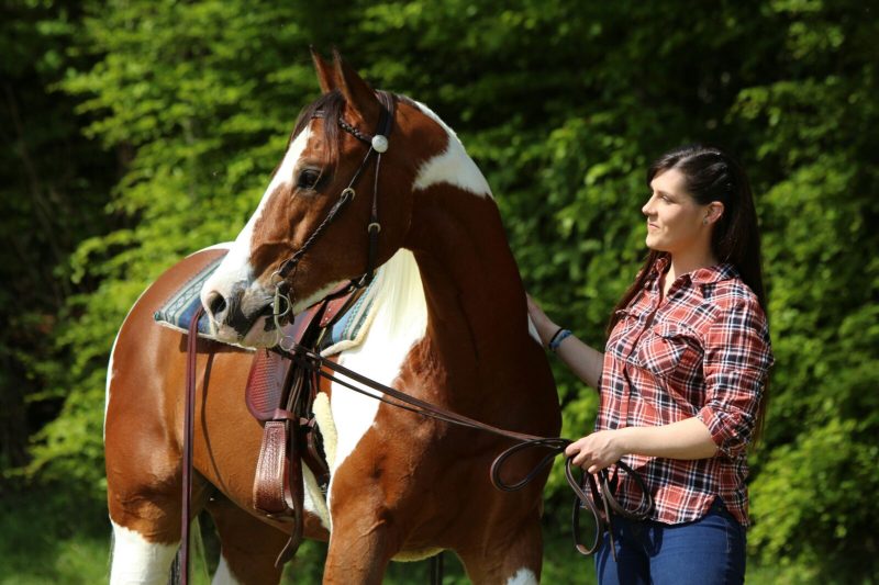 Foto aus dem Reitstall Schrackmann