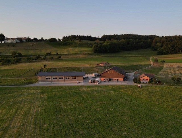 Foto aus dem Reitstall Schrackmann