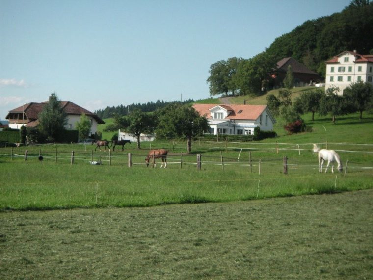 Gruppenhaltung